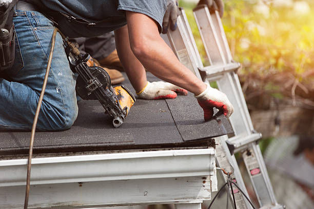 Best Roof Repair Services  in Genoa, AR