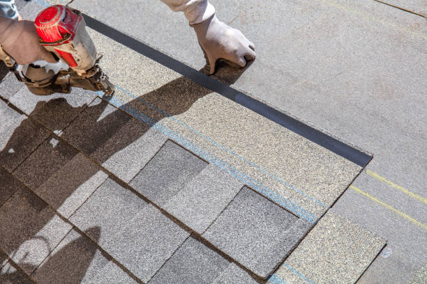 Professional Roofing Contractor in Genoa, AR