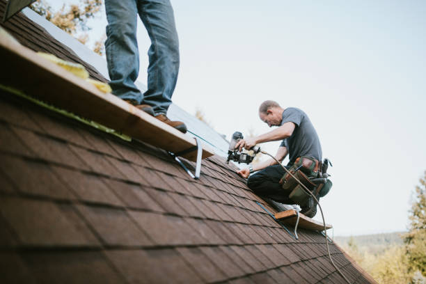Best Flat Roof Repair Services  in Genoa, AR